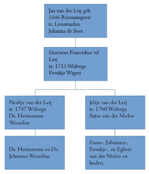 overzicht van de Wesselius Van der Molen connectie.
